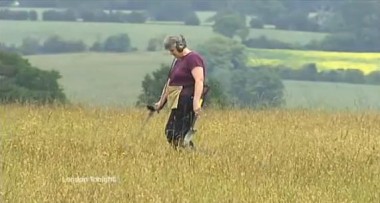 metaldetector housewife