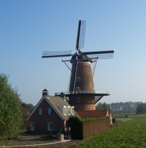 Korenhalm