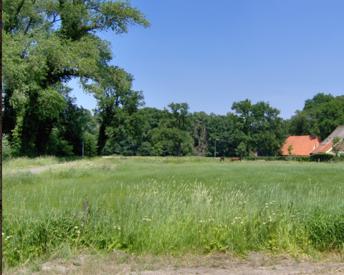 cultuurlandschap