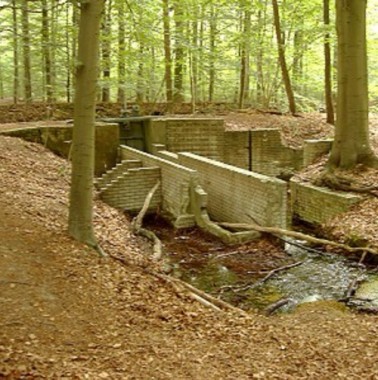 Waterloopbos.jpg