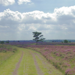 natuur