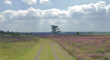 natuur