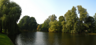 Vijver Oosterpark
