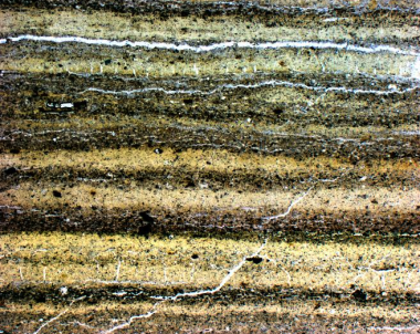 Sediment