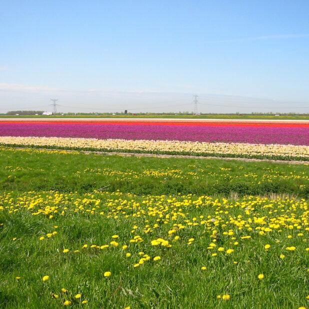 cc by sa 2.5