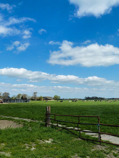 Landschap bij Luddeweer