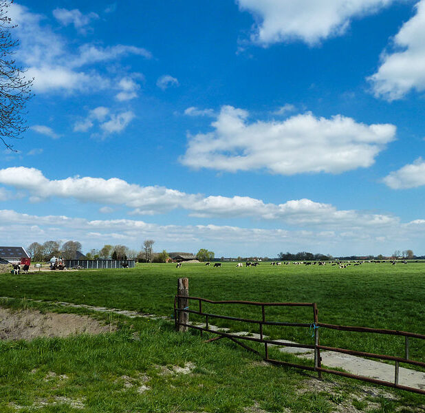 Landschap bij Luddeweer
