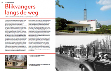 blz8889_blikvangers
