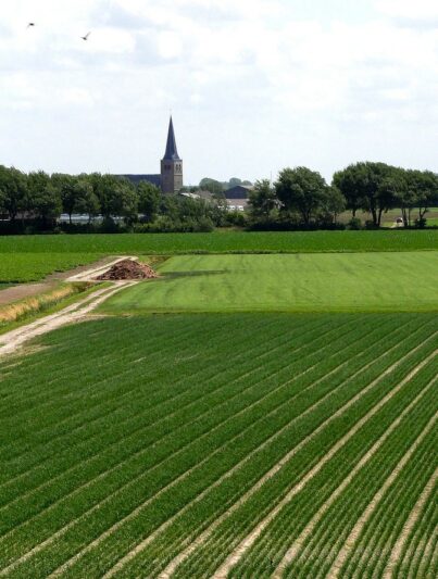 Landschap