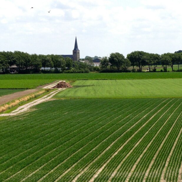Landschap