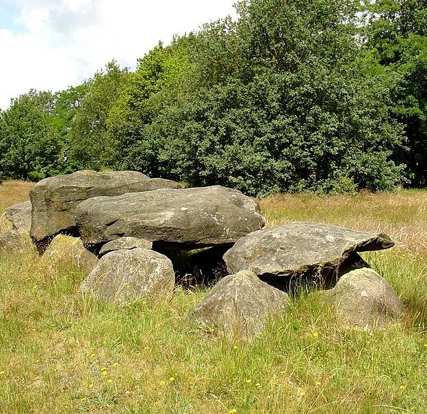 Hunebed D41 bij Emmen