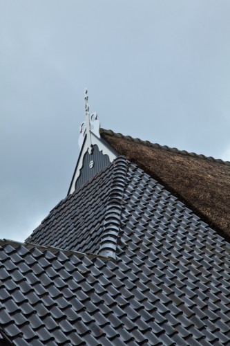 Friesland