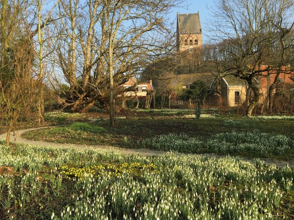 2015.02.13 Stinzenflora-monitor persbericht