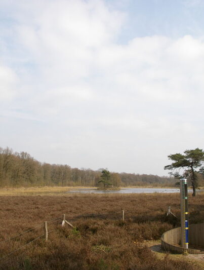 De Heuvelrug