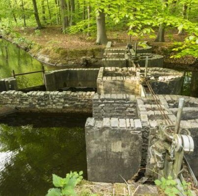 Waterloopbos