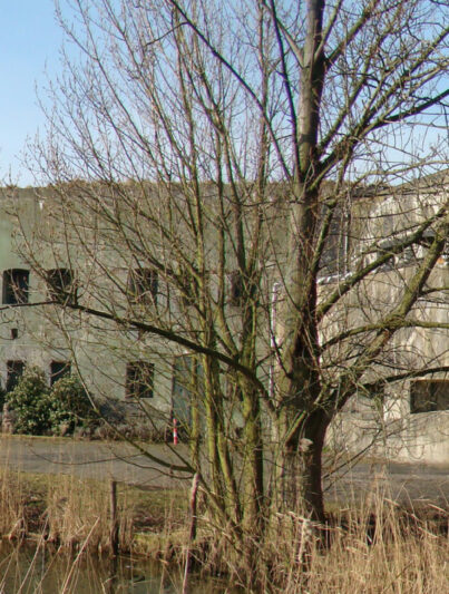 Fort bij Hoofddorp