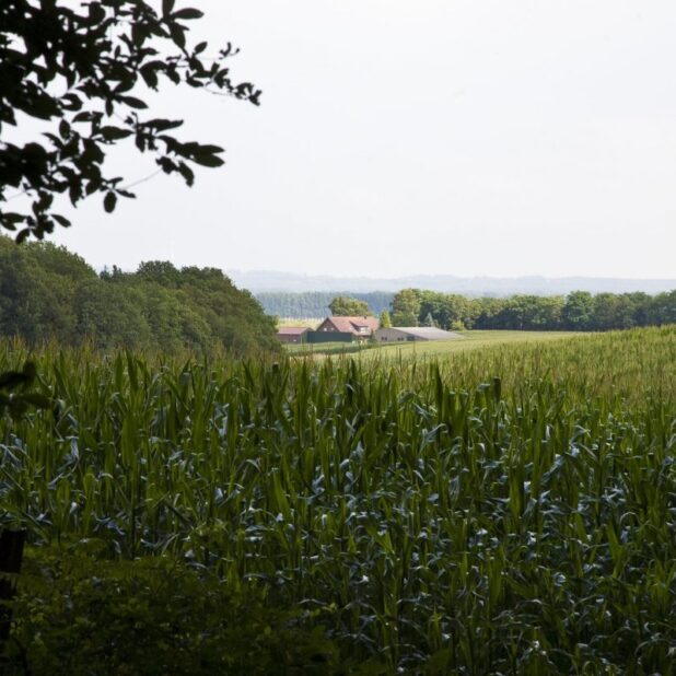 CC BY SA 3.0 Landschap bij Berg en Dal Foto: RCE via wikimedia