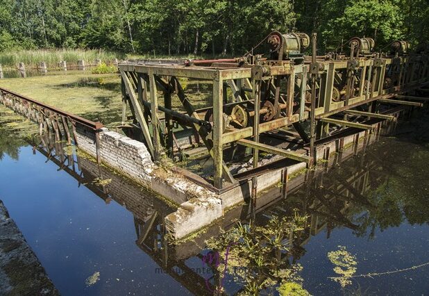 Het Waterloopbos bij Marknesse