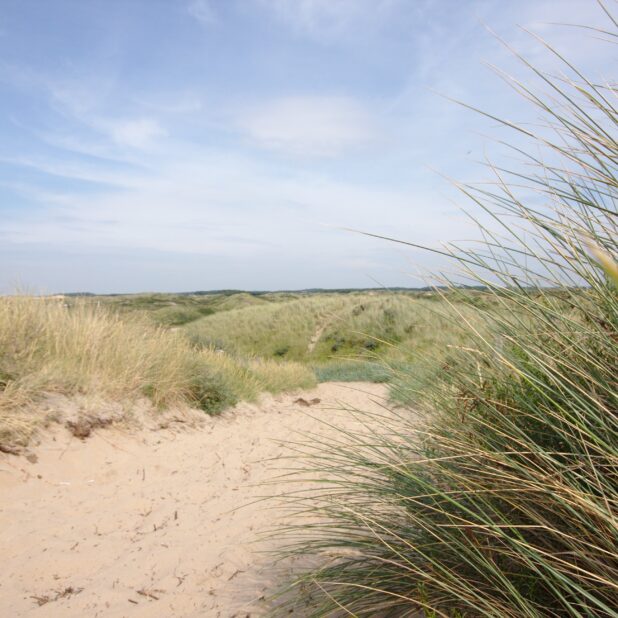 Bloemendaal aan Zee