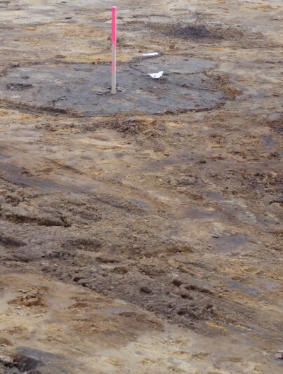 Referentiebeeld: archeologische opgraving