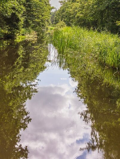 Waterloopbos Marknesse