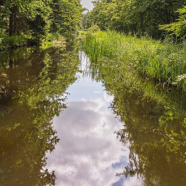 Waterloopbos Marknesse