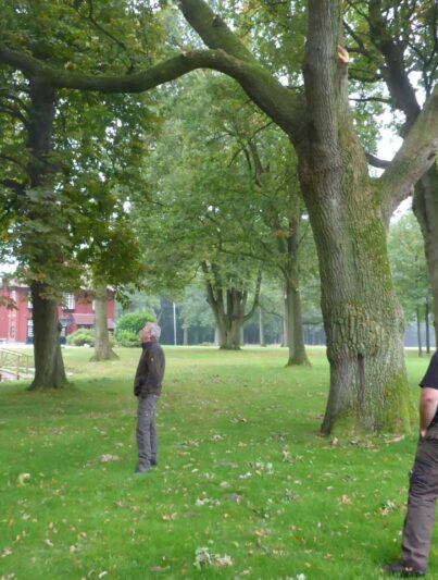 Landgoed De Eese, Overijssel