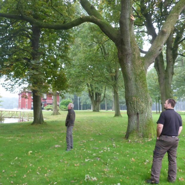 Landgoed De Eese, Overijssel