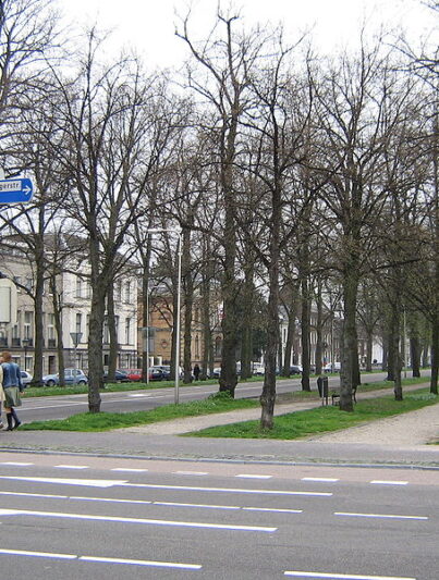 Maliebaan in Utrecht