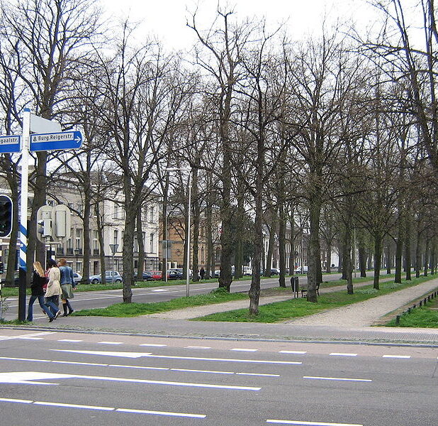Maliebaan in Utrecht