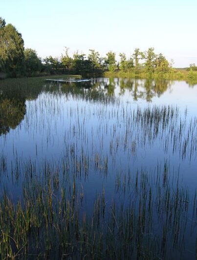 Het Nationale Park De Hoge Veluwe