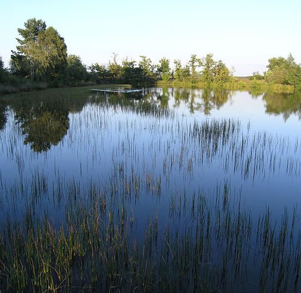 Het Nationale Park De Hoge Veluwe