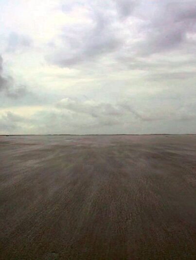 Wadlopen naar Schiermonnikoog