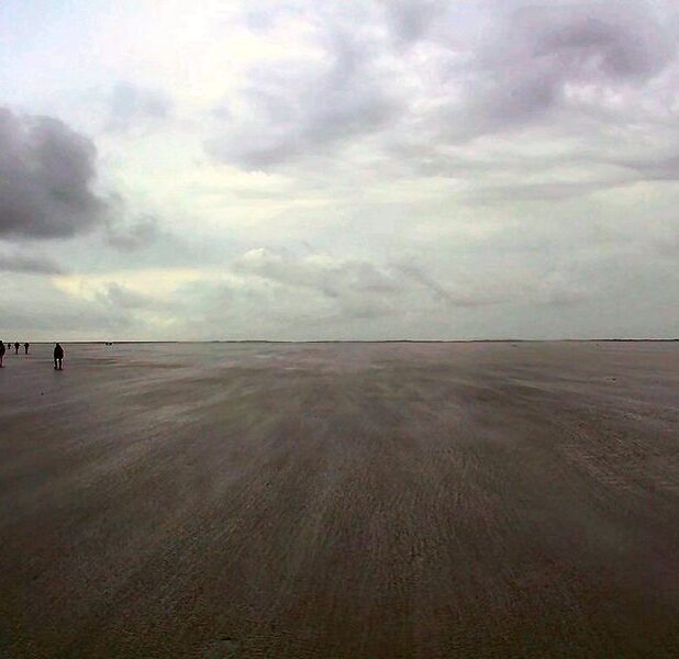 Wadlopen naar Schiermonnikoog