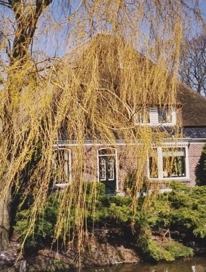 Stolpboerderij Berkhout