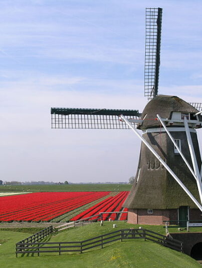 Molen Goliath bij Uithuizermeeden