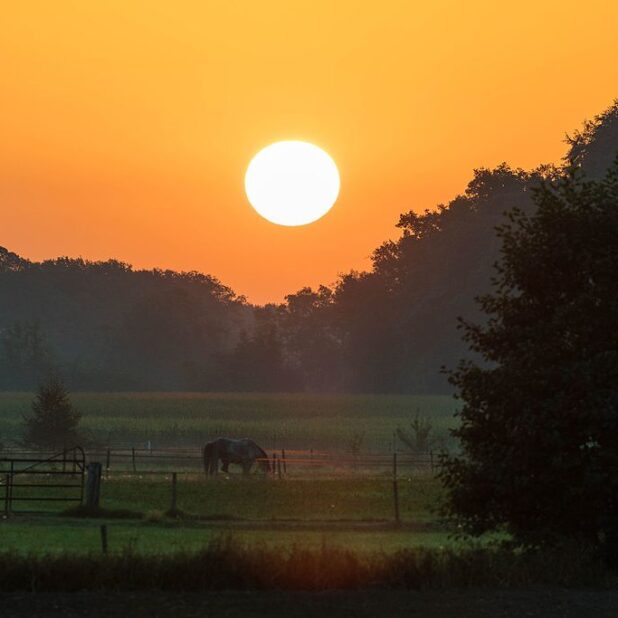 Coulisselandschap in de Achterhoek