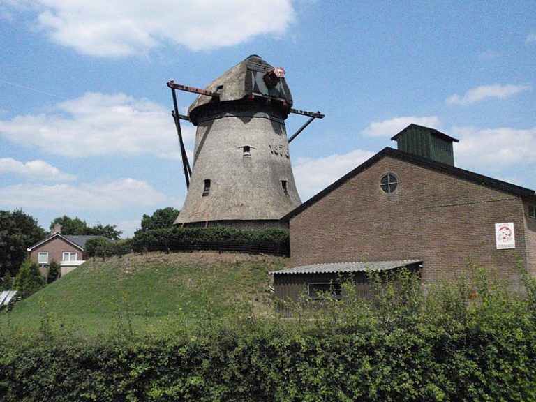 Molen De Vlijt in Zuidwolde in 2008