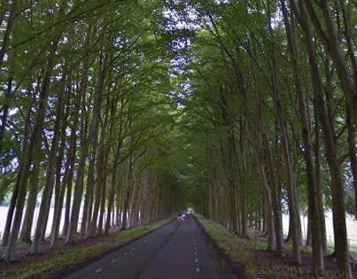 Middachterallee in Ellecom
