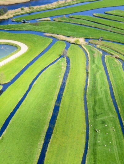 Gemaakt landschap