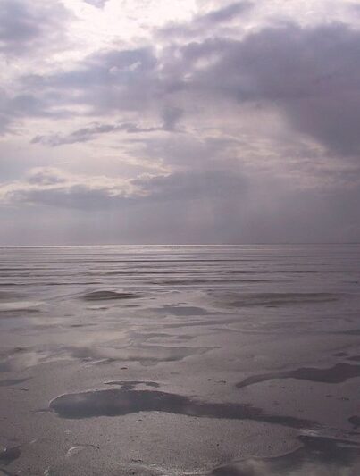 De Waddenzee
