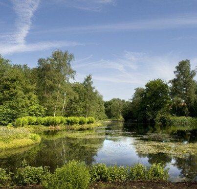 Het J.P. Thijssepark in Amstelveen was vorig jaar een van de monumenten die instandhoudingssubsidie ontving