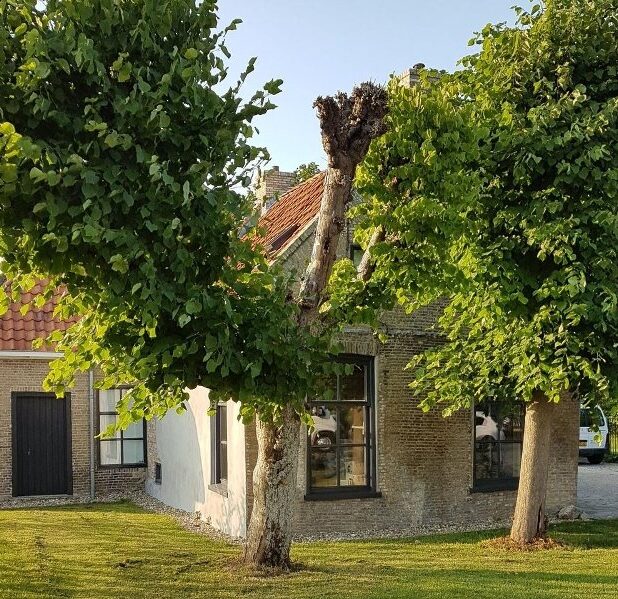 Boerderij aan de Swanneblom 2 in Burgum