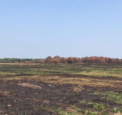 Het afgebrande stuk natuurgebied in het Drents-Friese Wold