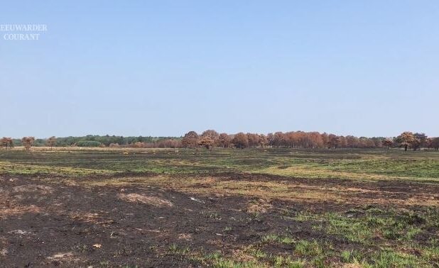 Het afgebrande stuk natuurgebied in het Drents-Friese Wold
