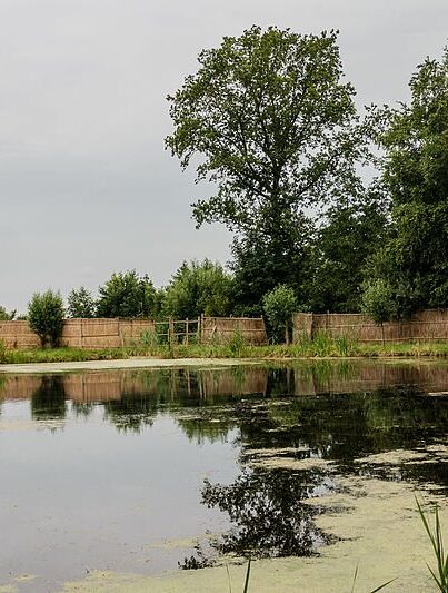 Buismans eendenkooi in Gytsjekerk, Friesland
