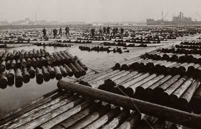 Hout in de haven