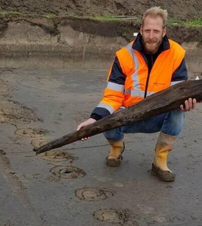 Een archeoloog toont een houten stut van de Romeinse weg bij Katwijk