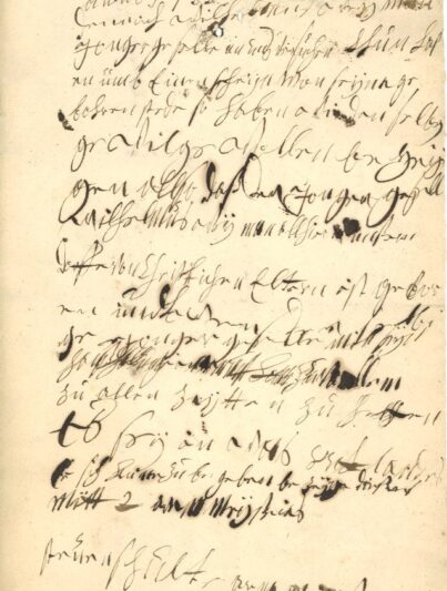 Akte van indemniteit voor Willem Weyman uit Emgen Loo in Münsterland, 6 januari 1733. Archief van Alkemade, 1549-1811