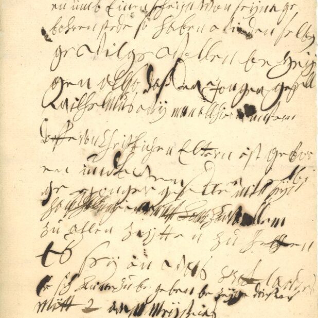 Akte van indemniteit voor Willem Weyman uit Emgen Loo in Münsterland, 6 januari 1733. Archief van Alkemade, 1549-1811